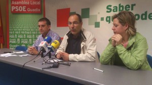 El PSOE de Guadix, único grupo municipal con propuestas locales en el pleno de abril