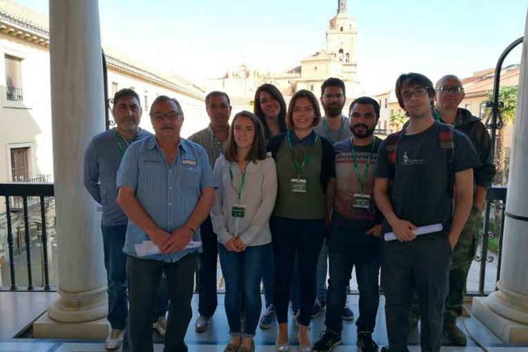 Planes empleo joven