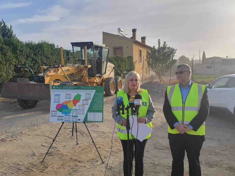 El Alcalde De Guadix Y La Delegada De Agricultura Visitan Las Obras De