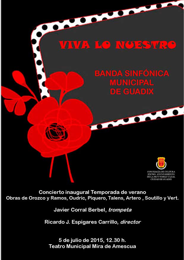 Banda sinfonica municipal de Guadix