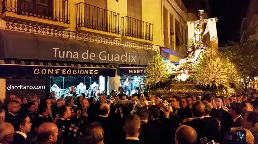Tuna de Guadix y la Virgen de las Angustias