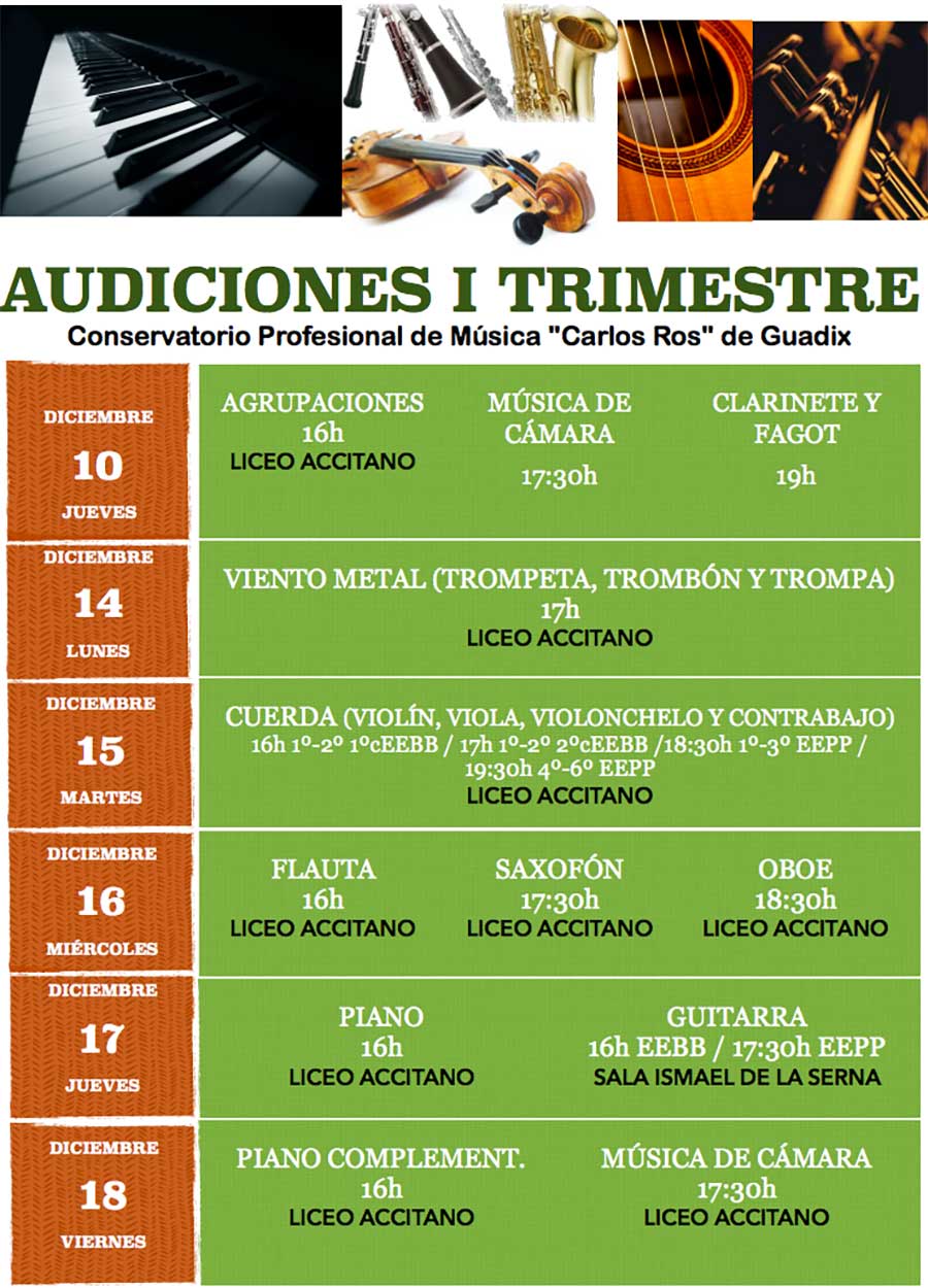 Audiciones escuela de musica de Guadix