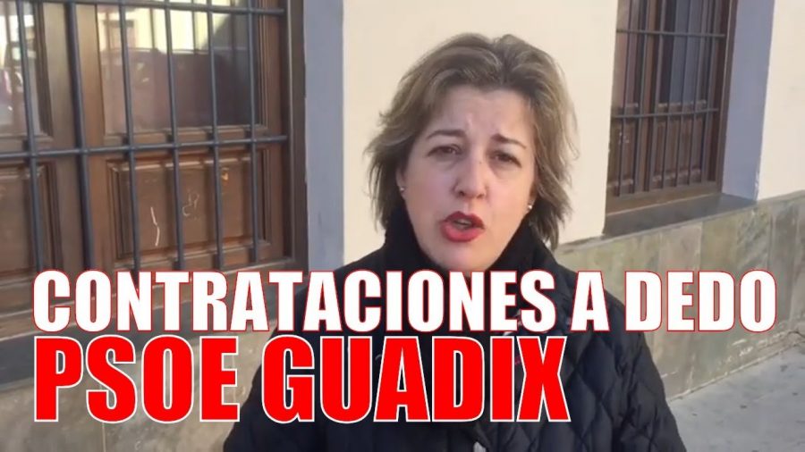 PSOE de Guadix