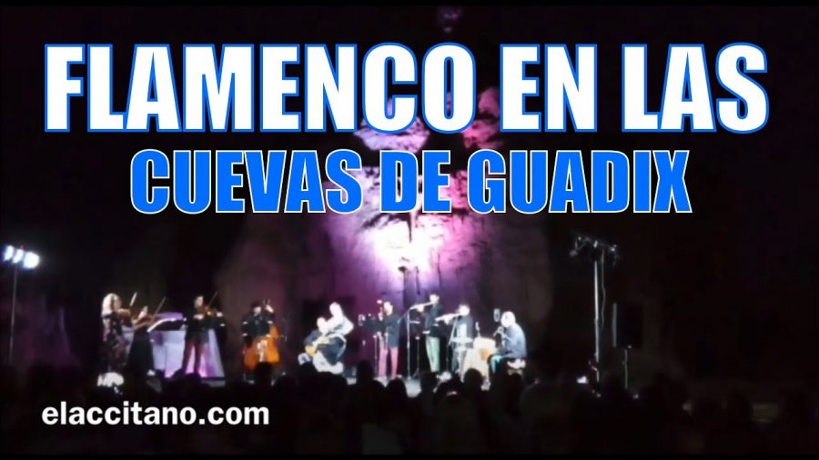 Programa es.flamenco en Guadix