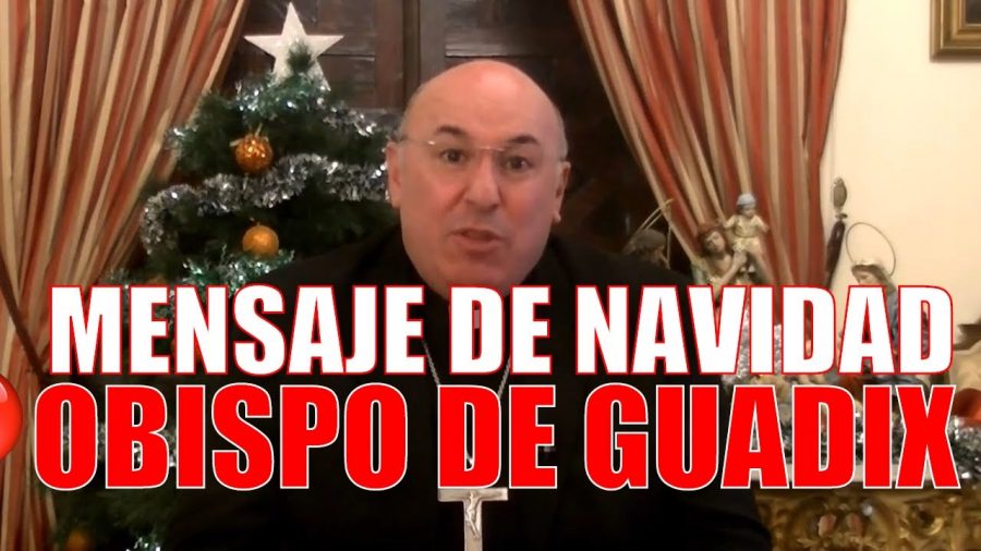 Mensaje de Navidad del Obispo de Guadix