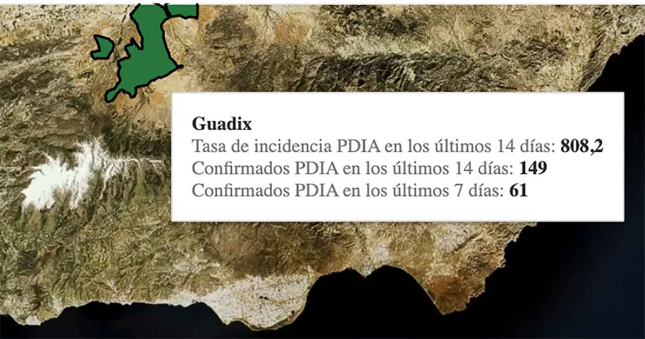 Casos covid Guadix