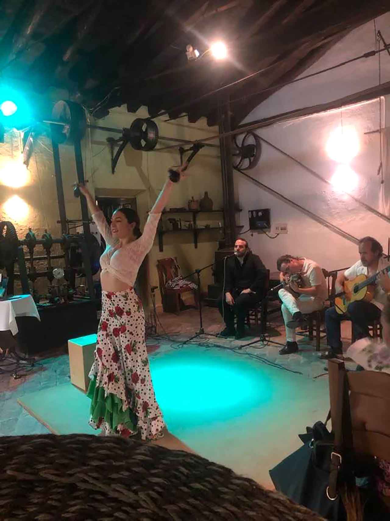 Flamenco en la Almazara de Paulenca