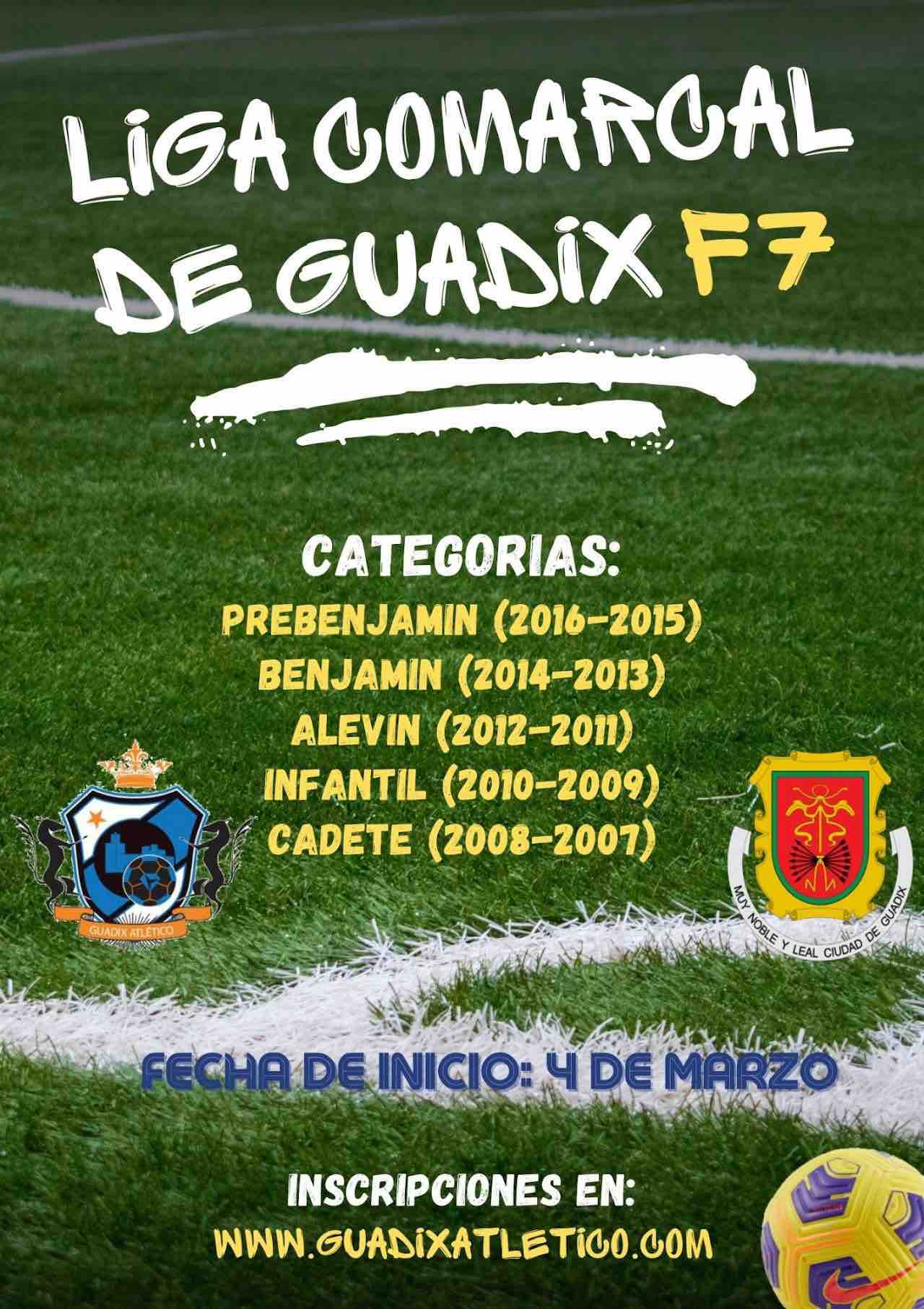 Liga comarcal Guadix