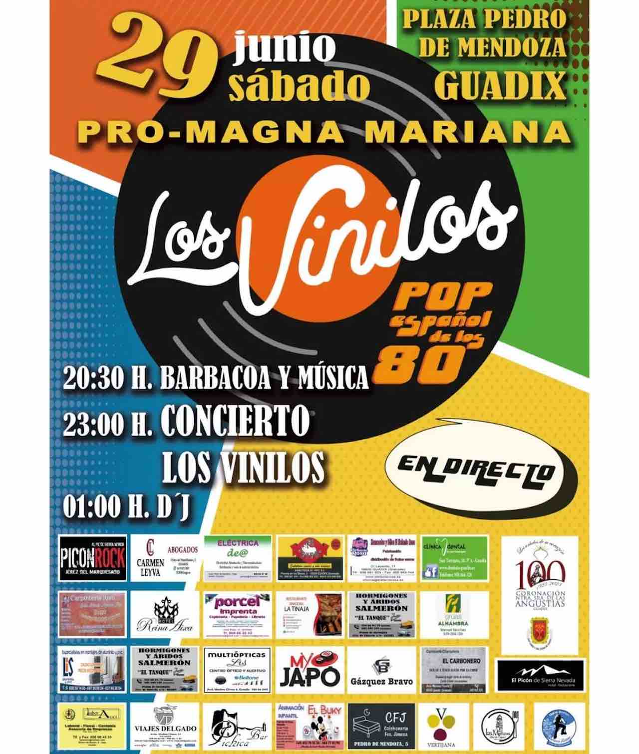 Concierto de Los Vinilos en Guadix