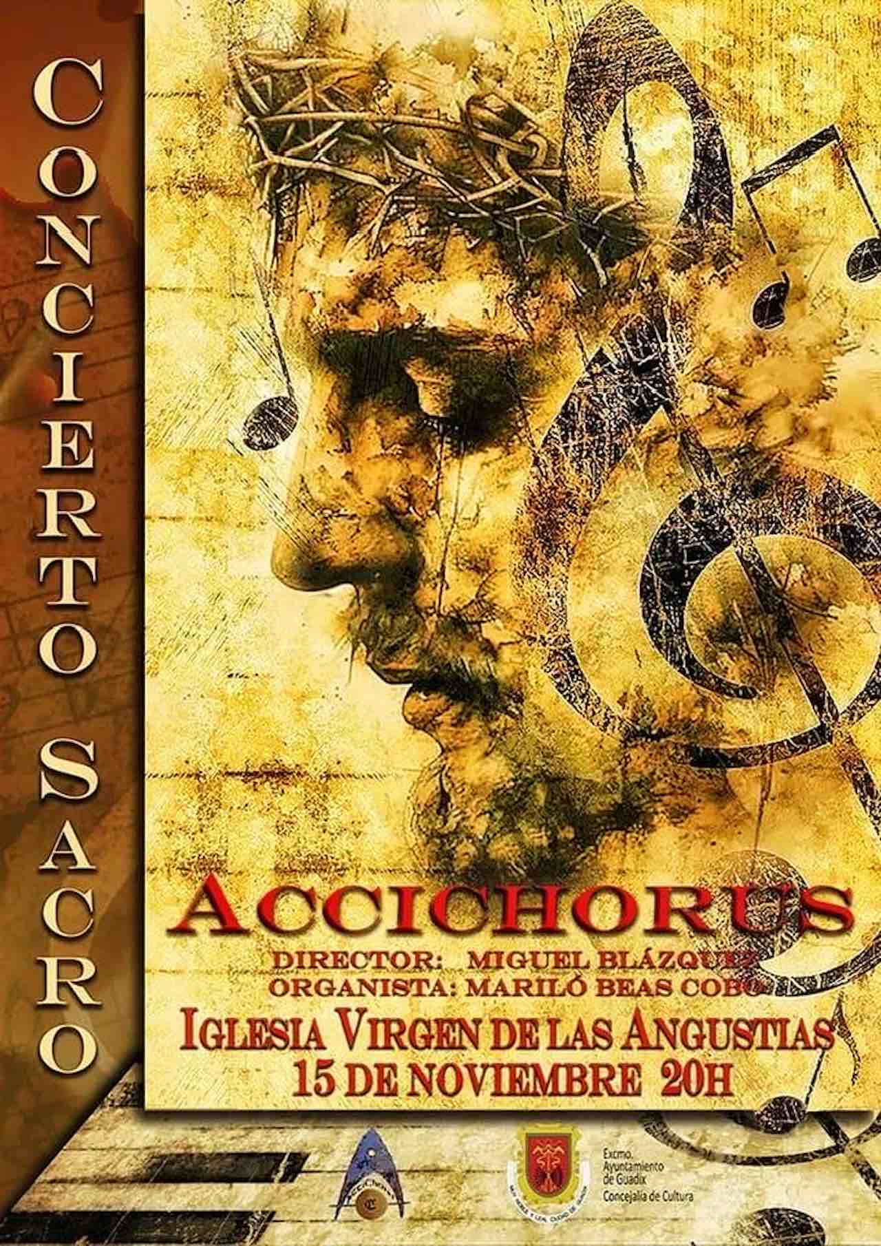 Cartel Concierto Accichorus