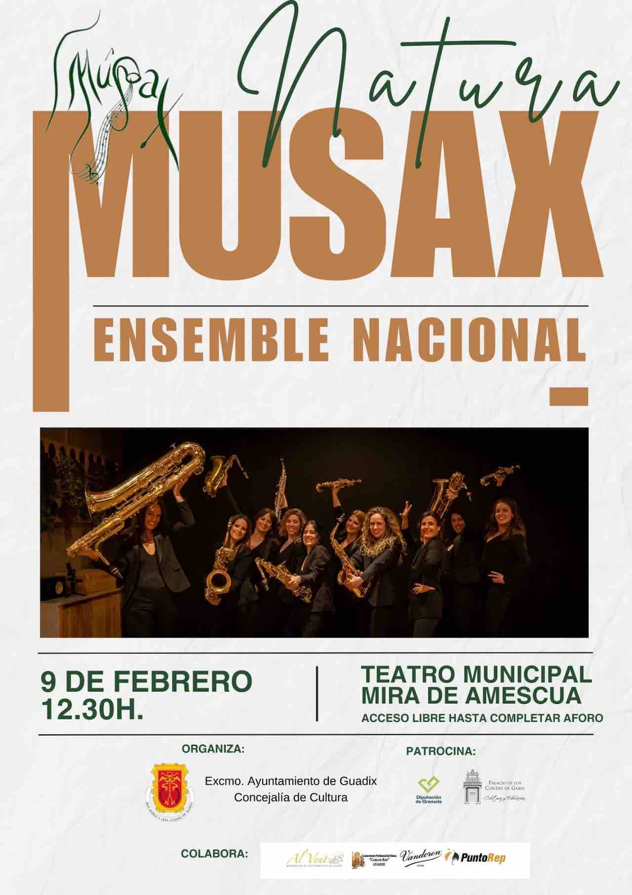 Concierto Musax ensemble nacional en Guadix