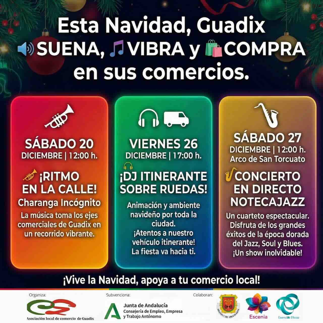 Comercio Guadix actividades