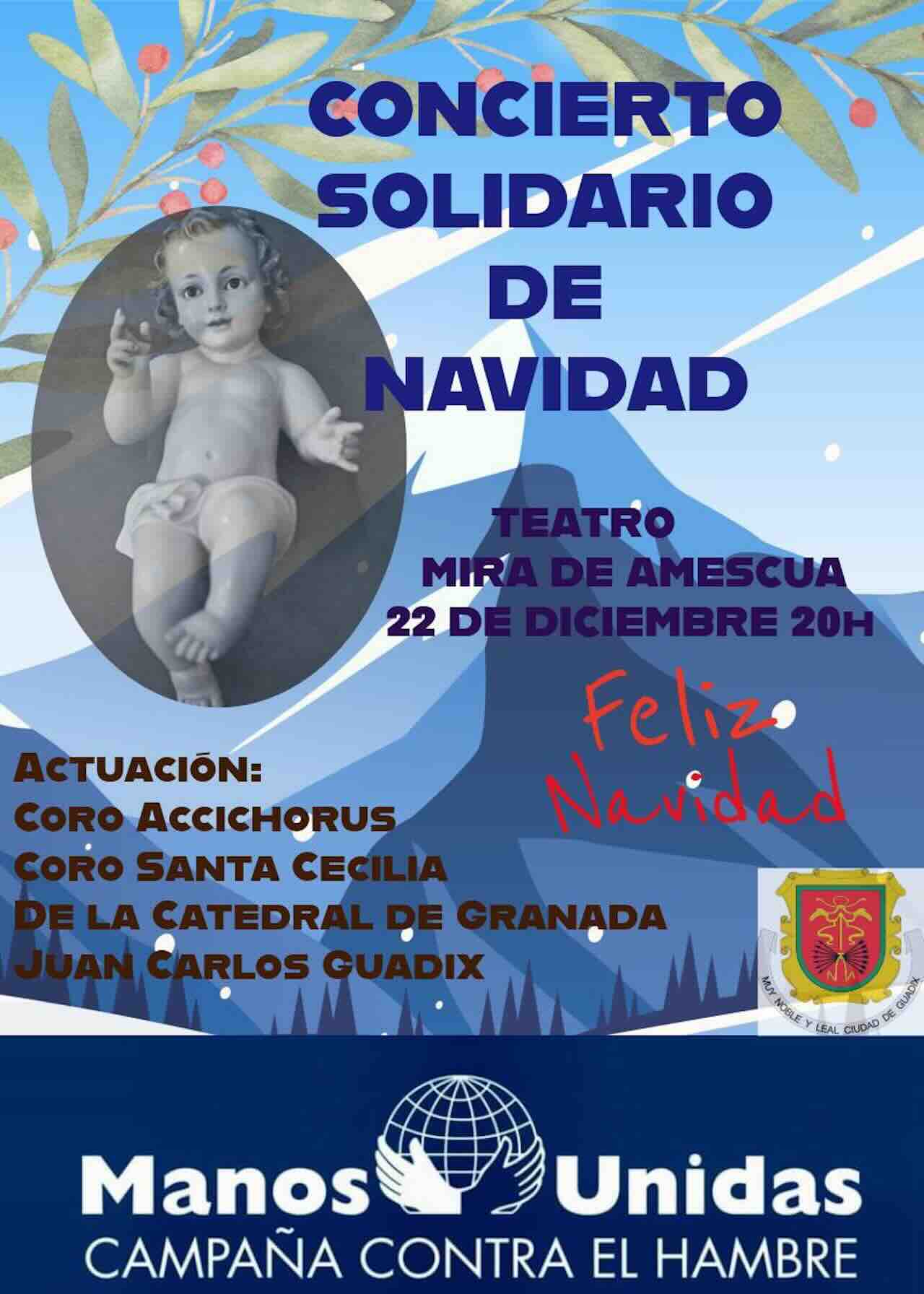 Concierto solidario Guadix