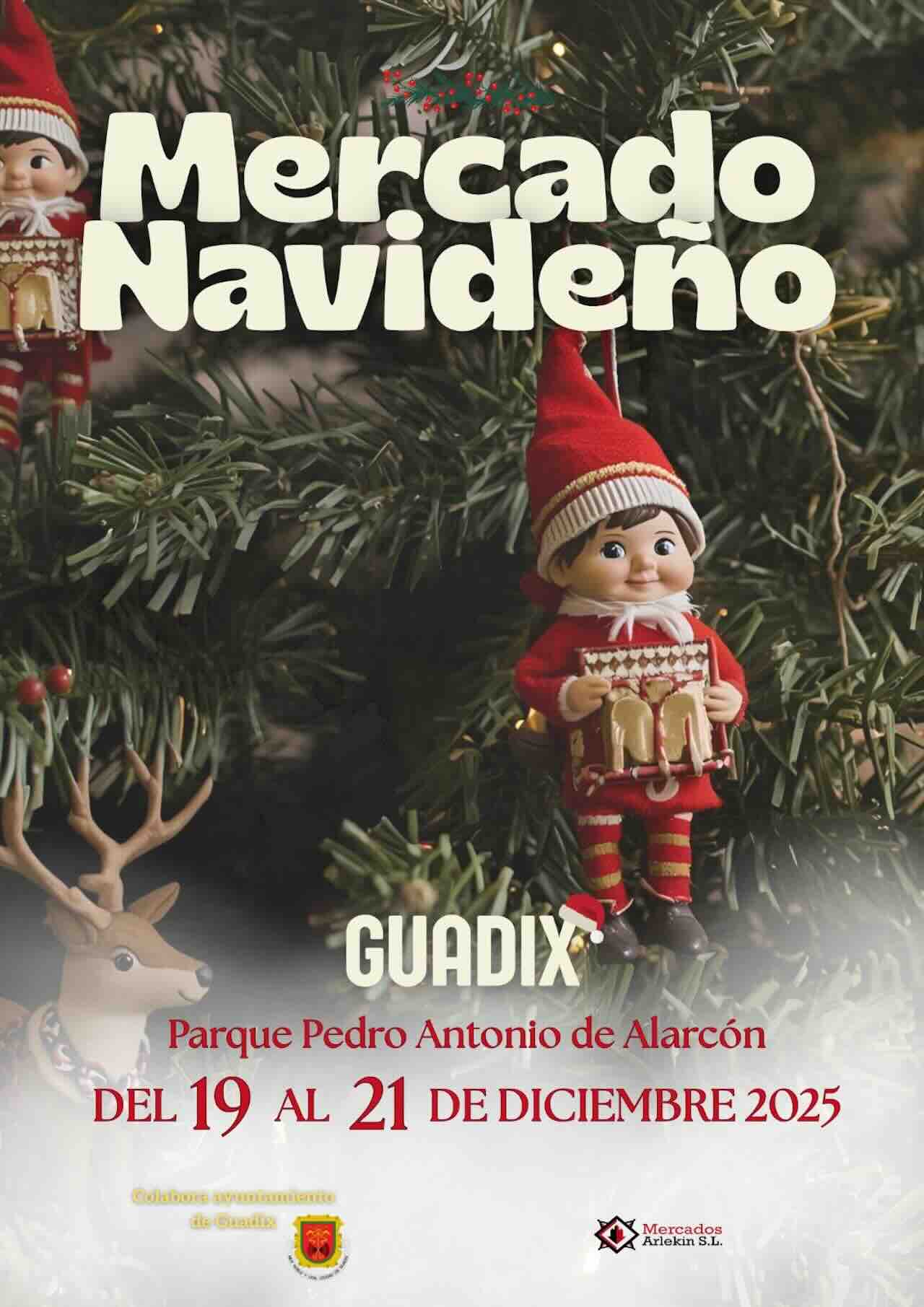 Mercado navideño Guadix