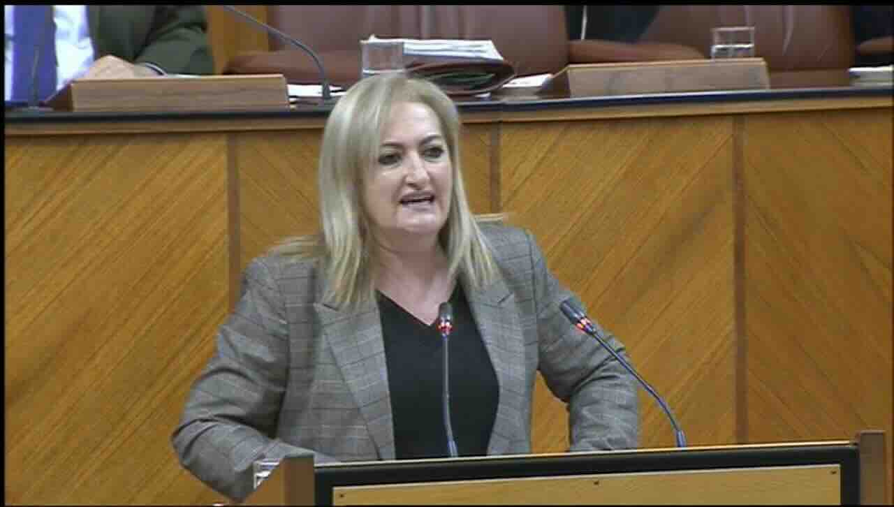 Celia Santiago en el Parlamento Andaluz