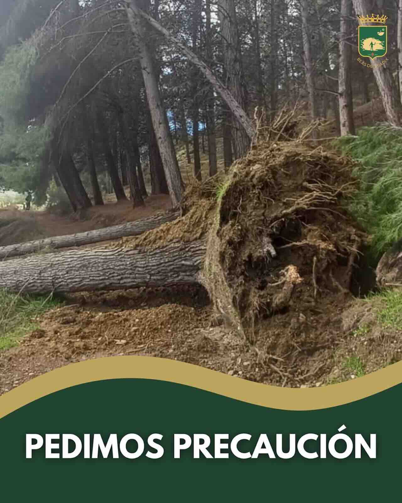 Aviso del Ayuntamiento de Beas de Guadix sobre caminos cortados por riesgo tras el temporal