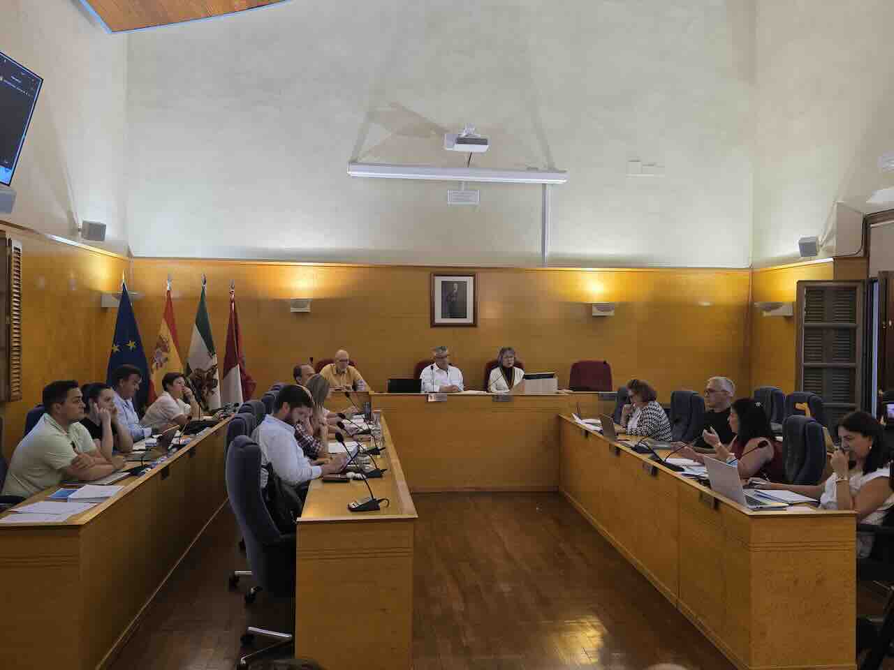 Pleno Ayuntamiento de Guadix