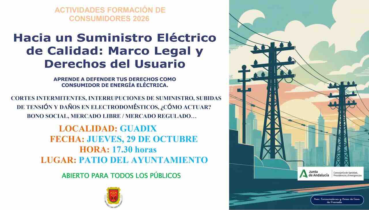 Cartel del taller Hacia un suministro eléctrico de calidad en el Patio del Ayuntamiento de Guadix el 29 de octubre